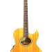 Washburn Festival EA20 1995