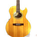Washburn Festival EA20 1995