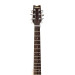 Washburn Festival EA20 1995