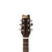 Washburn Festival EA20 1995