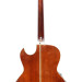 Washburn Festival EA20 1995