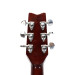 Washburn Festival EA20 1995