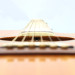 Washburn Festival EA20 1995