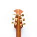 Ovation Adamas 1581-8 1989 USA 