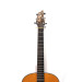 Breedlove USA SJ20/my 2947 . Steve Henderson