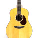 Breedlove USA D20/R KIM BREEDLOVE 
