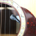 Breedlove USA D20/R KIM BREEDLOVE 