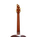 Breedlove USA D20/R KIM BREEDLOVE 