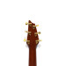 Breedlove USA D20/R KIM BREEDLOVE 